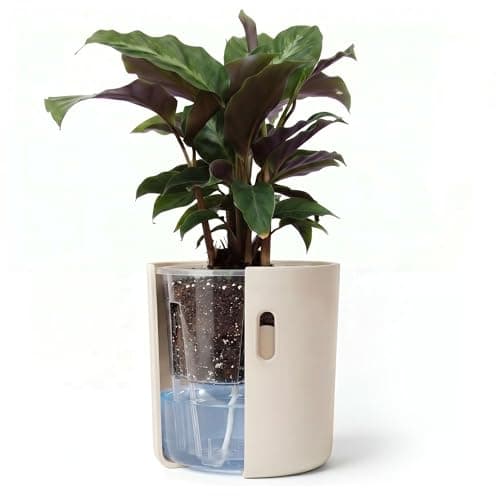 Wavyleaf Self-Watering Planter, 4 in, Nylon Wick and Clear Inner Pot