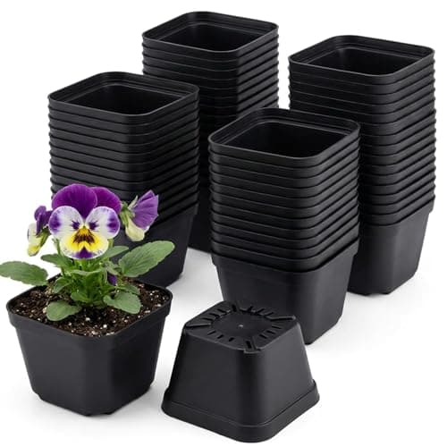 Tulpeed Square Nursery Pots, 50 Pack