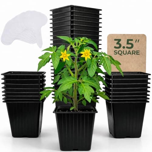 CARPATHEN Square Nursery Pots, 3.5 in, 60 Pack