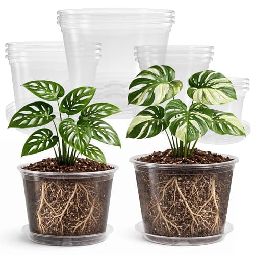 Bluepro Clear Nursery Pots with Saucers, 12 Pack (5, 6, 8, 10 in)
