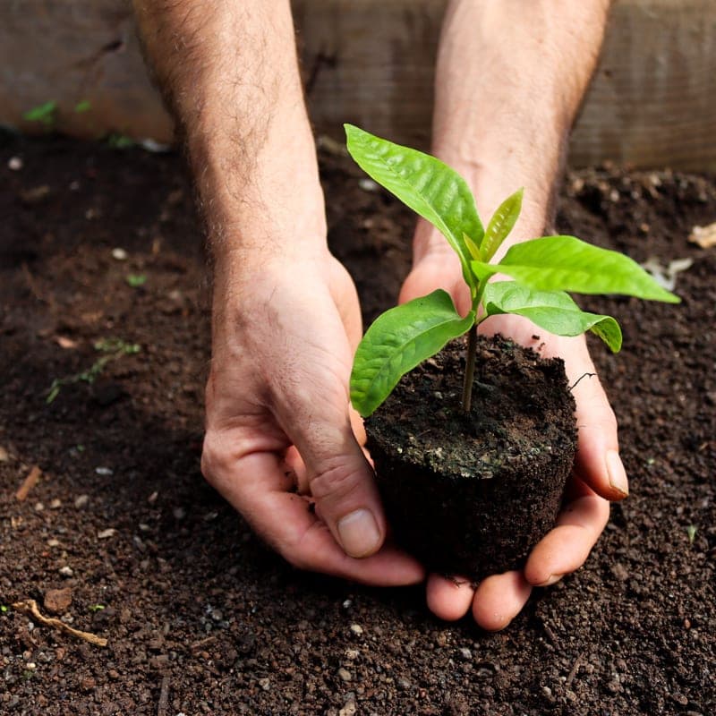 A plant pot being filled with potting mix. A stand-in image for the GroBucket Self-Watering Planter Insert, not a photograph of this model