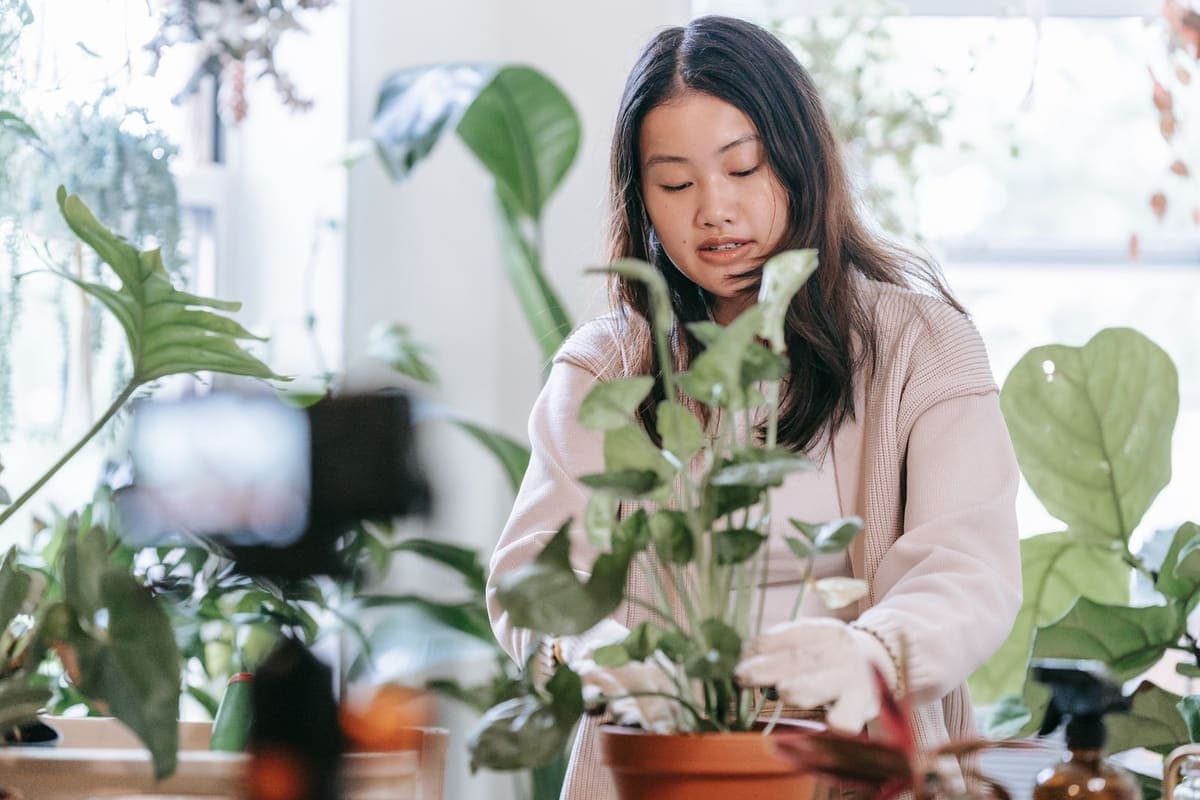 A person checking a houseplant at a table surrounded by other plants