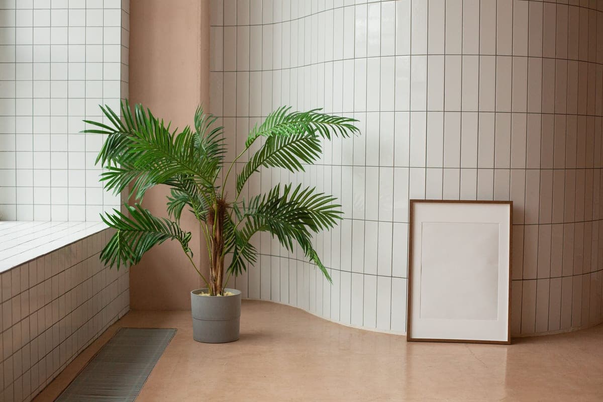 A large potted plant standing in a quiet room corner