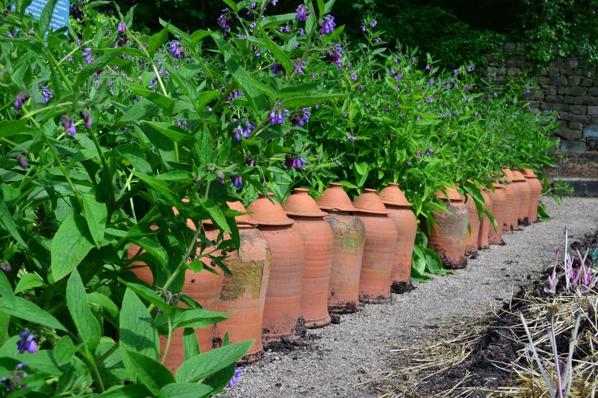 A row of terracotta pots standing along a garden bed