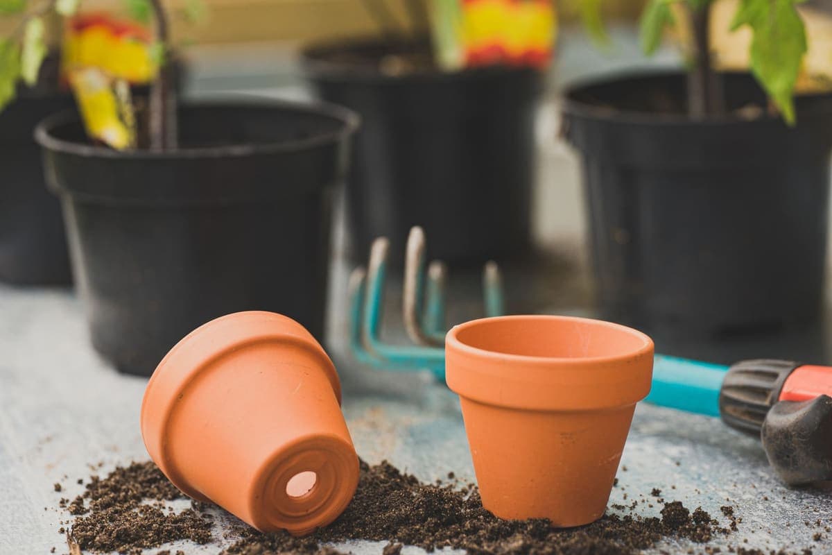 Two empty terracotta pots and spilled potting mix on a potting bench