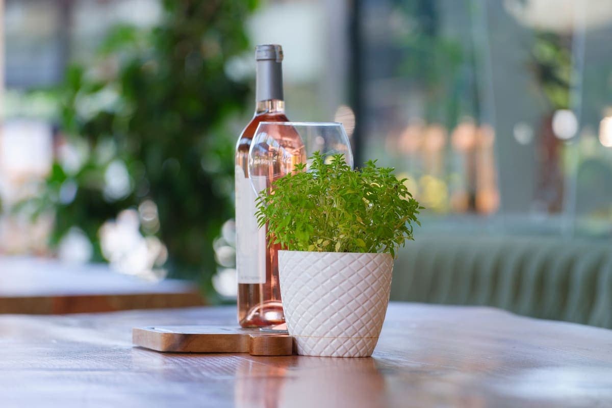 A wine bottle and glass beside a small potted plant on a wooden table