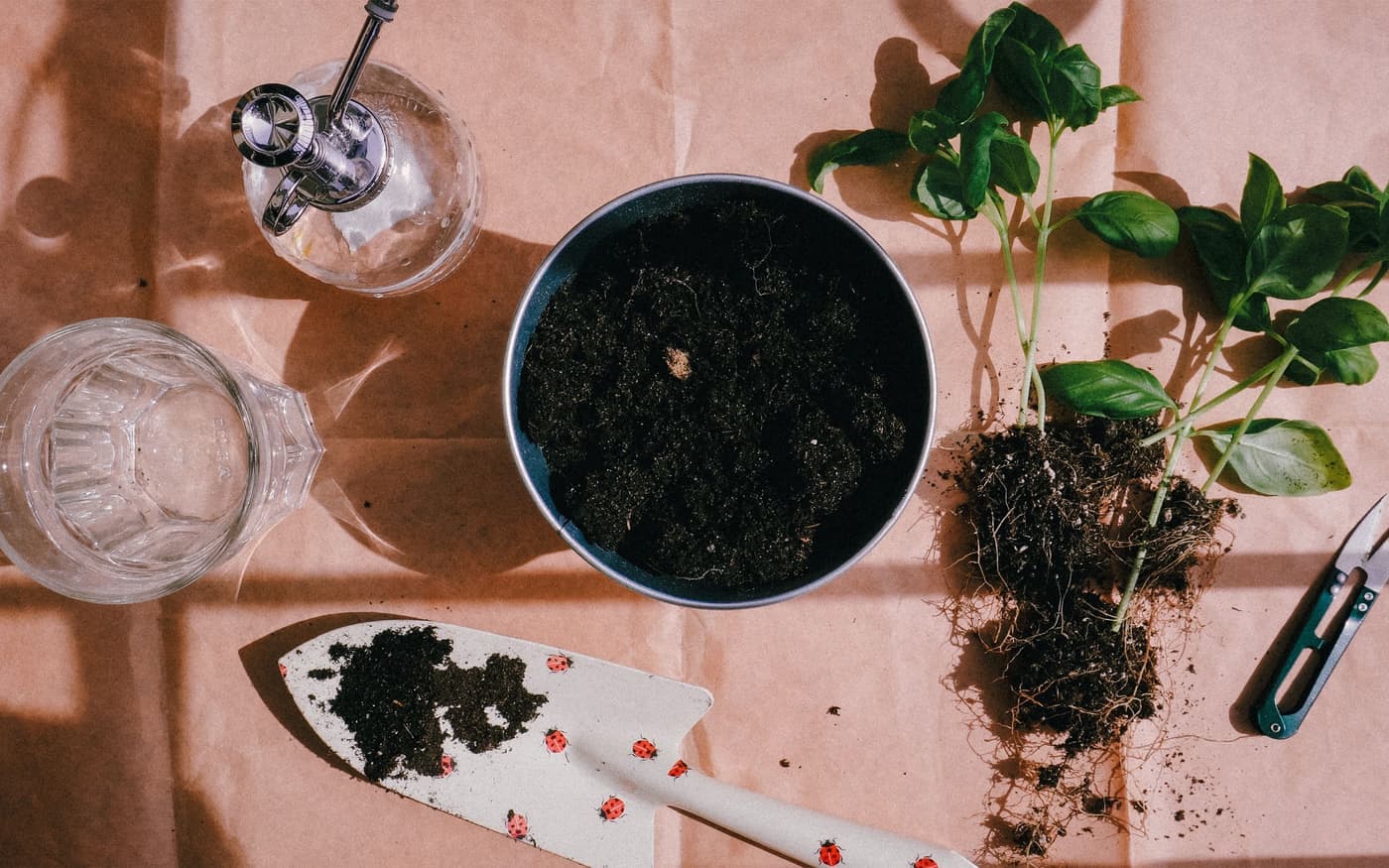 A glass watering globe standing in the soil of a potted houseplant