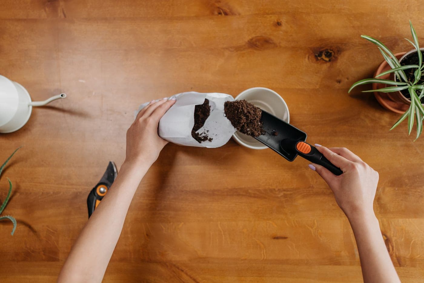 A soil probe being inserted into the potting mix of a houseplant