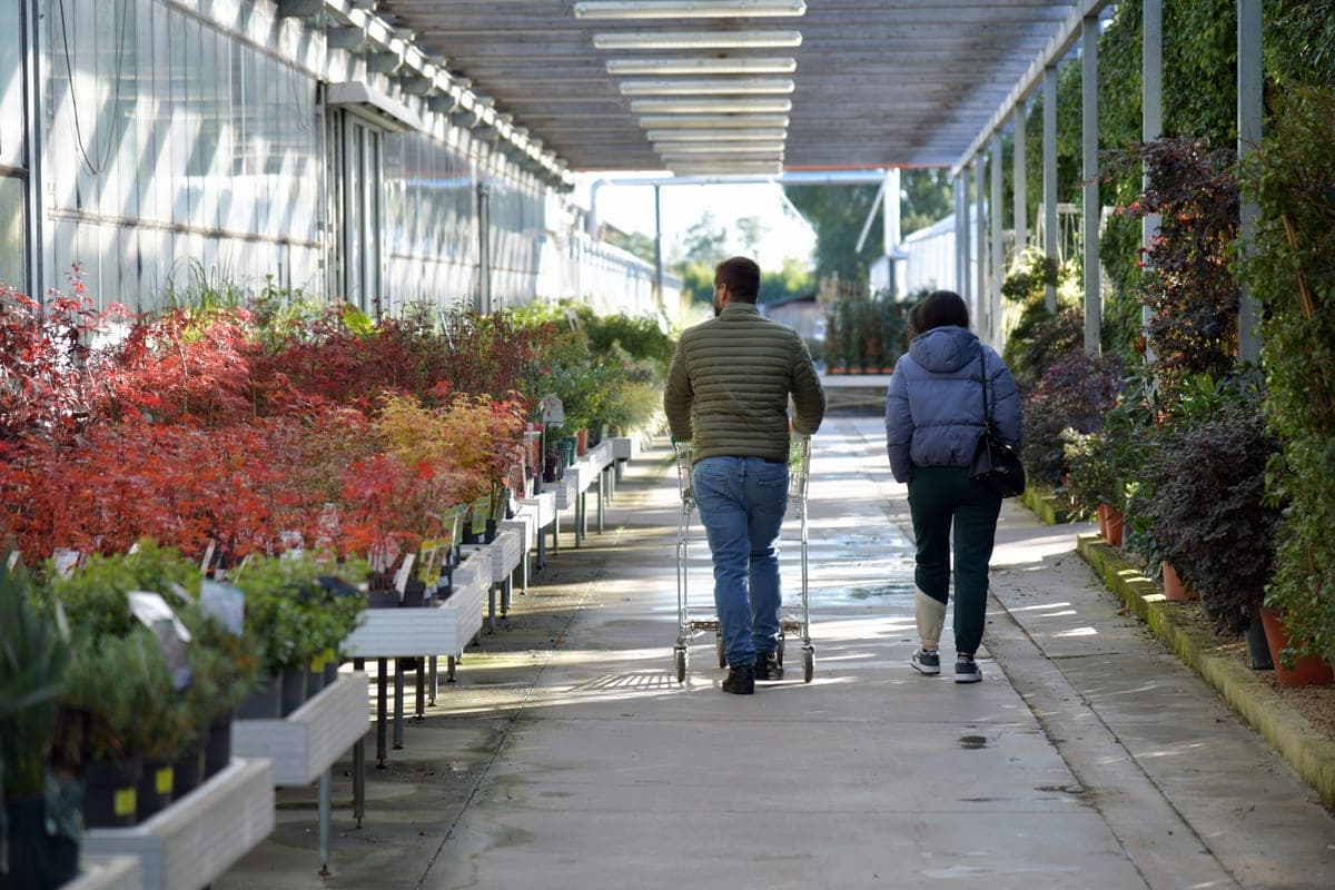 Rows of plant pots at a garden center