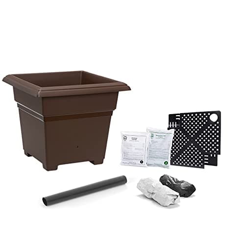 EarthBox Root and Veg
