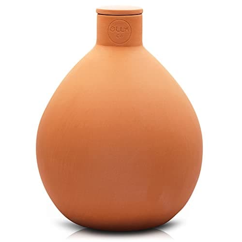 The Olla Company Large Olla Watering Pot with Lid