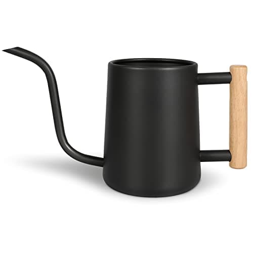 LTSUMI Stainless Steel Watering Can, 35 oz / 1000 ml
