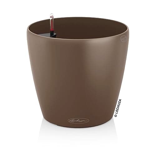 Lechuza Classico Color 21