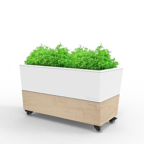 Glowpear Cafe Self-Watering Planter Box, 29.5 in