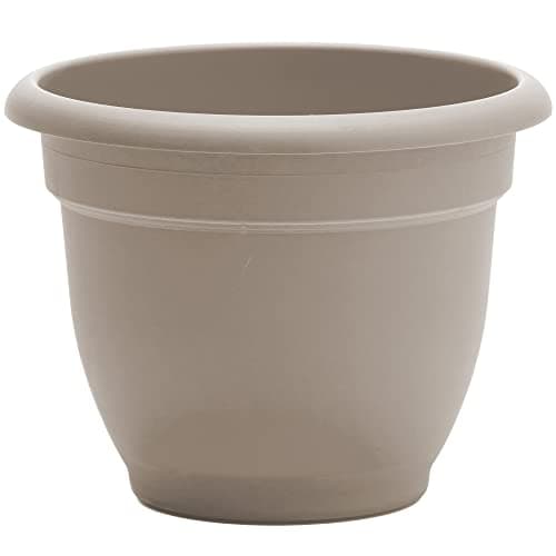 Bloem Ariana 12 in Self-Watering Planter