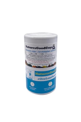 NaturesGoodGuys Hypoaspis miles Predatory Mites, 12,500