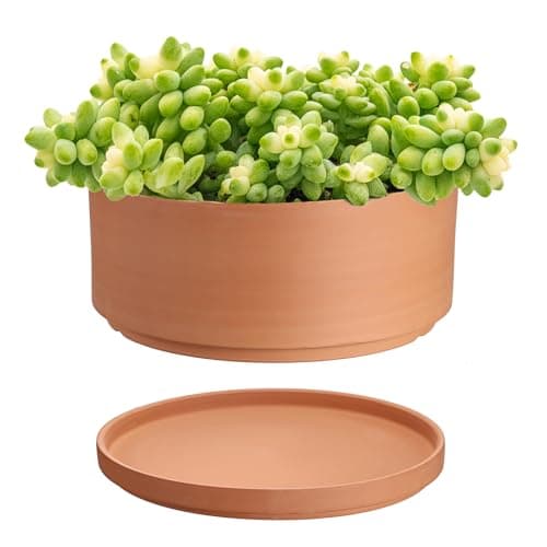 JUXYES 10-Inch Shallow Terracotta Pot with Saucer