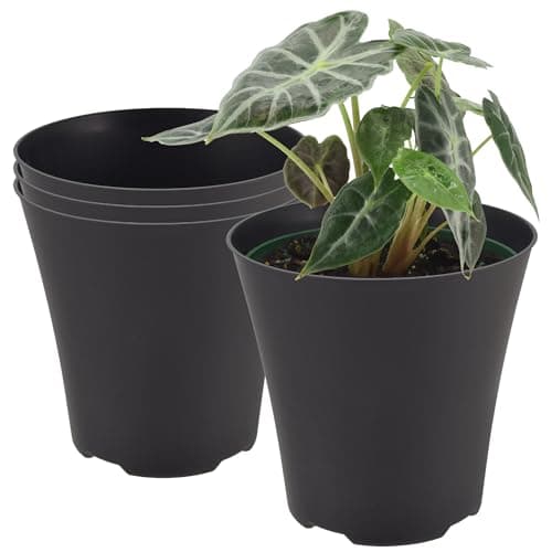 Arcadia Garden Products Arcadia Garden Cover Pot, Fits 6 in Nursery Pot, 4 Pack