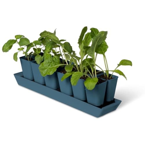 Gardener's Supply Company Gardener's Supply Gardener's Best XL Self-Watering Seed Starting Kit