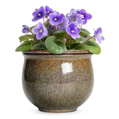 Teagas Ceramic Self-Watering Pot, 8 in
