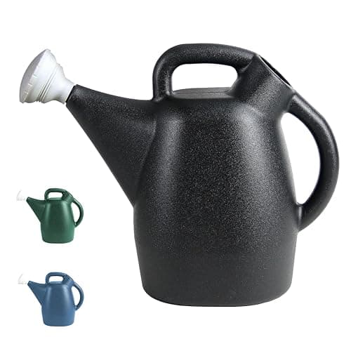 Chapin 47998 2-Gallon Watering Can
