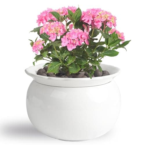 BUYMAX 6-Inch Self-Watering Ceramic African Violet Pot