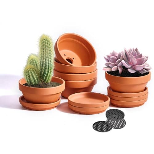 NiSevenLiving 5-Inch Shallow Terracotta Pots, 6 Pack