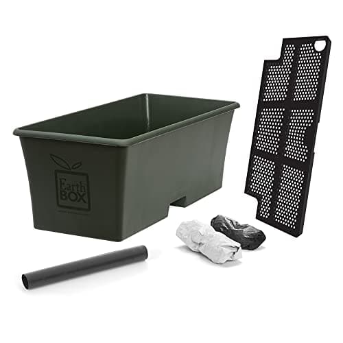 EarthBox Original