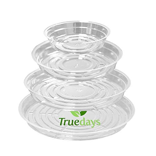 TRUEDAYS Clear Plant Saucers, 20 Pack (6, 8, 10, 12 in)