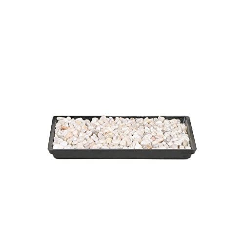 Brussel's Bonsai Brussel's 8 in Humidity Tray with Decorative Rocks