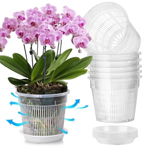 T4U Clear Orchid Pots 7.5 in, 6 Pack