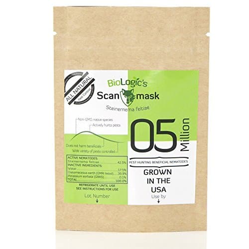 BioLogic Scanmask Steinernema feltiae Nematodes, 5 Million