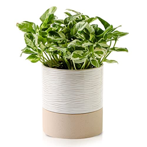Nihow Ceramic Self-Watering Plant Pot, 6 in