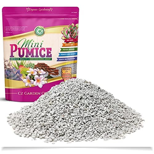 Cz Garden Supply Cz Garden Horticultural Pumice, 2 L