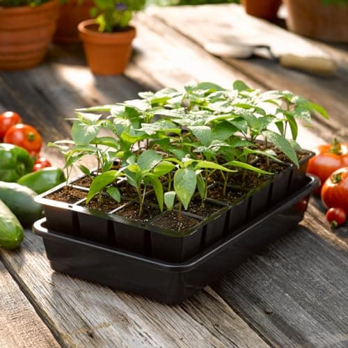 Gardener's Supply Company Gardener's Supply GrowEase Self-Watering Seed Starting Kit, 24-Cell
