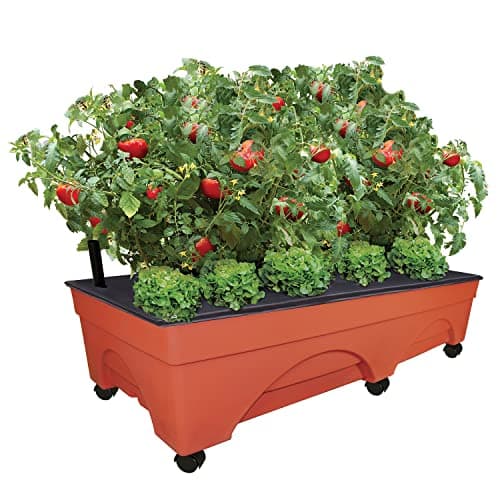 Emsco Group Emsco Big City Picker Raised Bed Grow Box, 48 x 20 in