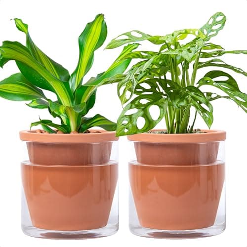 D'vine Dev Self-Watering Terracotta Planter Pot, 6 in, 2-Pack