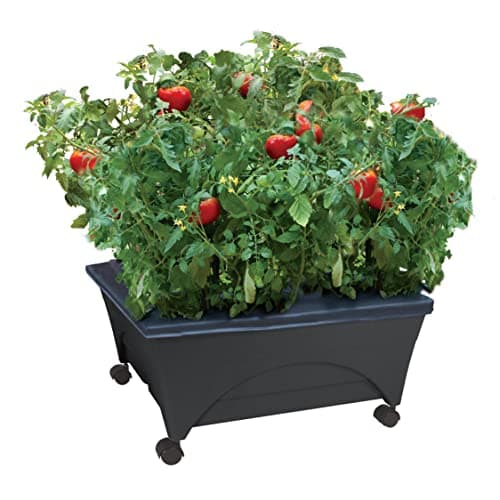 Emsco Group Emsco City Picker Raised Bed Grow Box